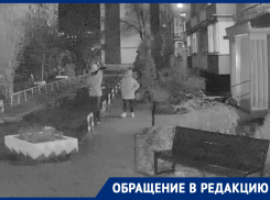 Волгодонец безжалостно срубил 12 туй во дворе многоквартирного дома