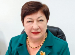 Электроснабжение в Цимлянском районе постепенно восстанавливается: Елена Ночевкина