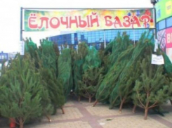 К новому году в Волгодонске планируют разместить около 27 площадок для продажи праздничной атрибутики