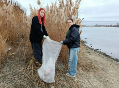 Юные эко-волонтеры Волгодонска очистили от мусора берег Сухо-Соленовского залива