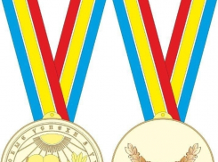 В Волгодонске из 40 претендентов на медаль семеро учатся в лицее №16