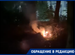 Кучи оставленных после циклона «Ольга» веток загорелись в Волгодонске 
