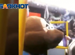 Танцующий медведь и поющий снеговик в волгодонском автобусе попали на видео
