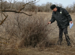 Рядом с Волгодонском ввели в оборот сотни гектаров ранее заброшенных сельхозземель