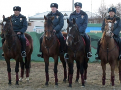В Волгодонске ликвидируют конную полицию