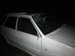 Пожилого мужчину насмерть сбил водитель ВАЗ-2114 на трассе Волгодонск-Зимовники