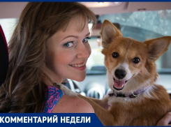 «Укус клеща может оказаться смертельным для животного»: Алена Семина об опасном заболевании
