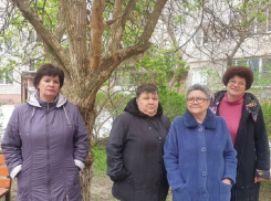  В Госжилинспекции назвали причину двукратного роста стоимости квартплаты в домах на Пионерской 