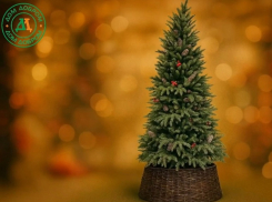 Товар дня: ель искусственная «Крымская»  за  9 950₽ вместо 14 740₽