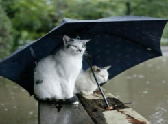 В Волгодонске сохраняется штормовое предупреждение