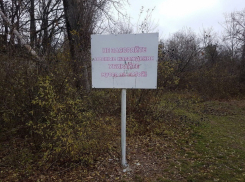 В лесах Волгодонска складывается чрезвычайная пожарная опасность