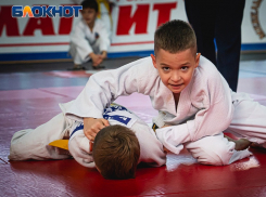 Воспитывают чемпионов: 28 октября Всемирный день дзюдо 