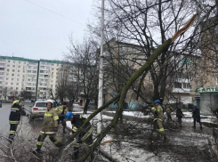 Городские спасатели ежедневно помогают в уборке последствий непогоды в Волгодонске