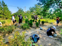 355 подростков Волгодонска смогут подработать на летних каникулах