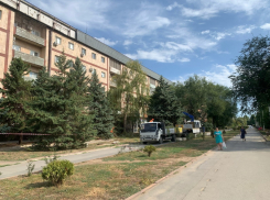 Где узнать законность вырубки каждого дерева в Волгодонске