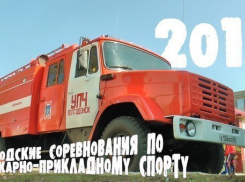 В Волгодонске завершились соревнования по  пожарно-прикладному спорту