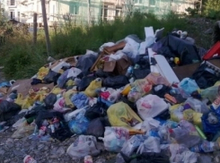 Волгодонску не дадут превратиться в одну большую свалку