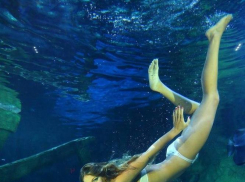 Рассмотрение дела Юлии Ефимовой в FINA заняло целый день