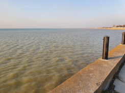 На Дону начинается половодье