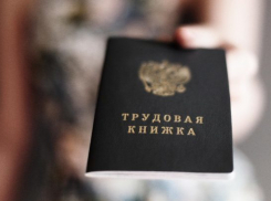Центр занятости зарегистрировал положительную динамику в трудоустройстве  волгодонцев