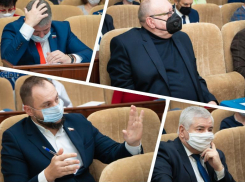 «Ракеты в космос запускают, а мы деревья полить не можем»: что обсуждают депутаты Волгодонска на Думе