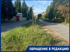 «Если бульвар Великой Победы зарос сорняком!»: горожанам даже страшно представить, что в других микрорайонах Волгодонска