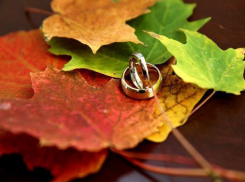 В День Покрова Пресвятой Богородицы волгодонцы сыграют 10 свадеб