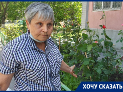 «Из-за него цветы гибнут»: война с домкомом за палисадники развернулась в Волгодонске