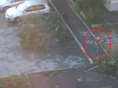 В Волгодонске маленький мальчик очистил парковку от упавших во время бури веток 