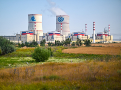 Расширят подстанцию, которую питает РоАЭС: Москва взяла на особый контроль ситуацию с электроэнергией в Ростовской области