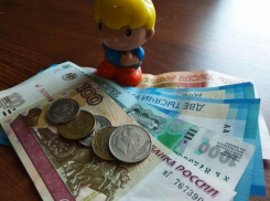 17 803 рубля составит величина прожиточного минимума в Волгодонске в будущем году