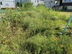 Траву с человеческий рост на детской площадке покосили после публикации в «Блокноте»