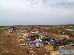 В Волгодонске Жуковское шоссе превратили в мусорную свалку