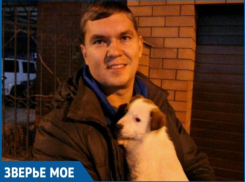 Милого щенка с необычной внешностью приютил неравнодушный волгодонец