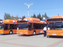 Волгодонск получит новые низкопольные муниципальные автобусы на газе