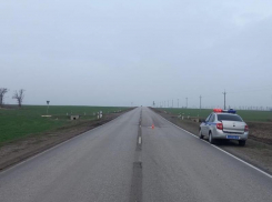 Идущего по проезжей части мужчину насмерть сбили в Орловском районе 