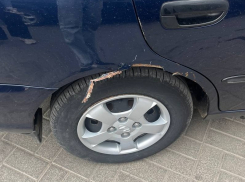 Собаки с «титановыми» зубами прокусили крыло машины в Волгодонске: водитель еле спасся