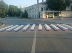 Появятся ли в Волгодонске 3D-зебры?