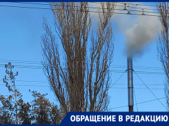 «Мы дышим ядом каждый день!»: как мебельная фабрика «КиМер» травит жителей СНТ «Машиностроитель» 