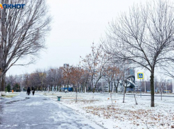 Морозы в Волгодонке постепенно начинают исчезать