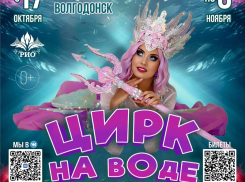 Феерию света, воды и грации везет в Волгодонск цирк на воде «РИО»  