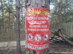 Жителям Волгодонска запретили ходить в лес