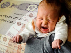 Дубовчанку уличили в  махинации с материнским капиталом