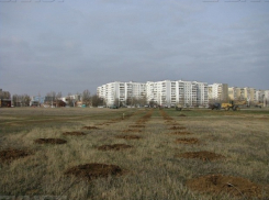 Депутатские саженцы не растут на «поле дураков»