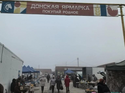 В Цимлянске пресекли торговлю опасной продукцией