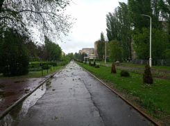 Небольшой дождь возможен в Волгодонске в канун великого Дня Победы