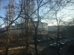Плюсовая температура и солнце ожидаются в Волгодонске на протяжении дня
