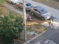 Странный волгодонец рыл землю на Степной