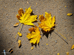 Сегодня в Волгодонске похолодает сразу на 10 градусов 