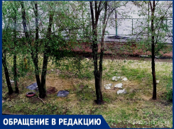 «Умный город оказался бессильным перед мусоркой под моим окном»: волгодончанка 